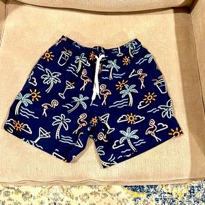 Men’s Chubbies Lined Swim Shorts